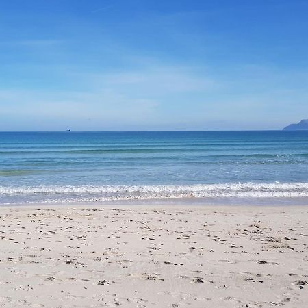 Ideal Property Mallorca - Blue Palm Beach 阿尔库迪亚 外观 照片