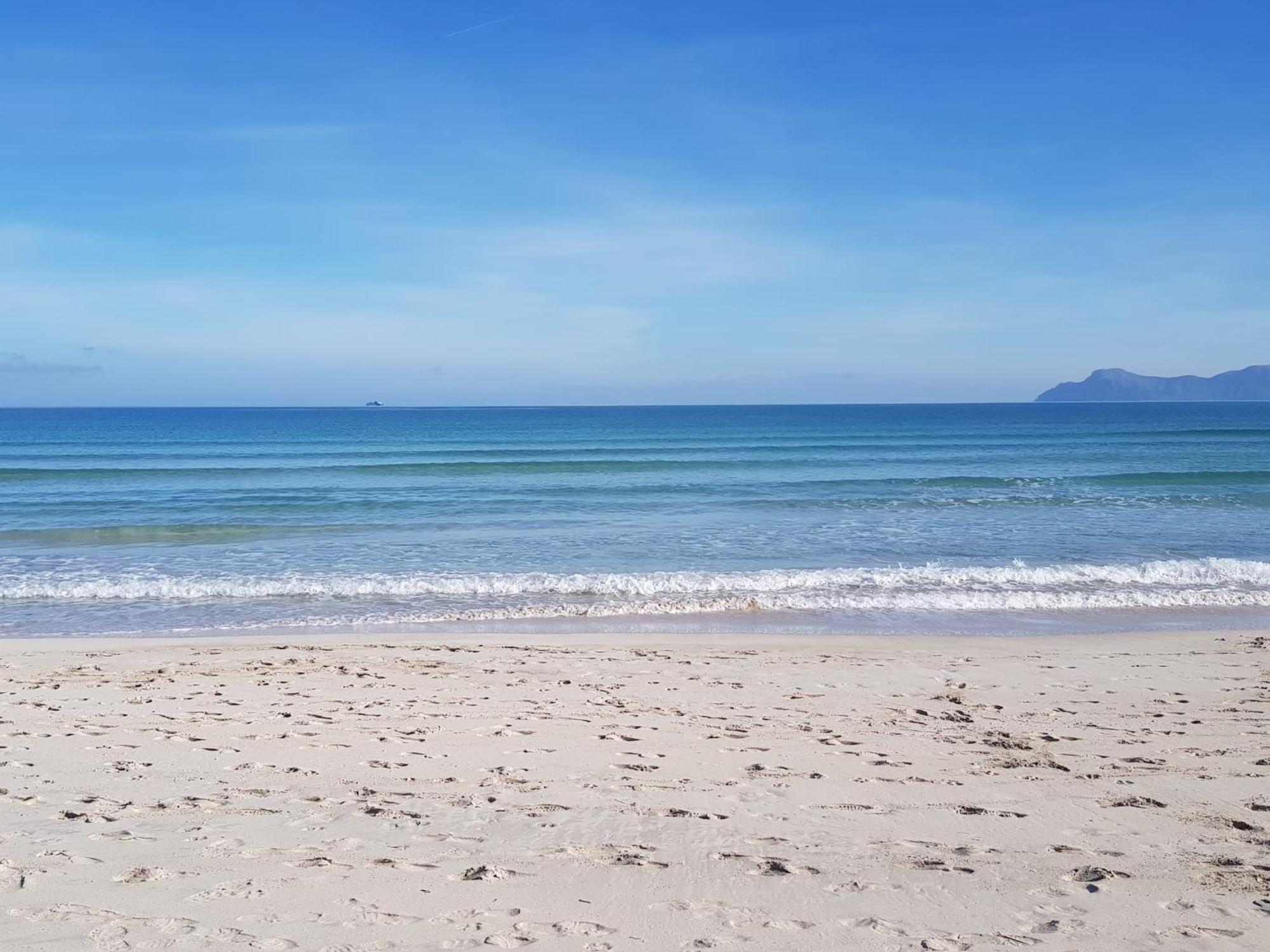 Ideal Property Mallorca - Blue Palm Beach 阿尔库迪亚 外观 照片